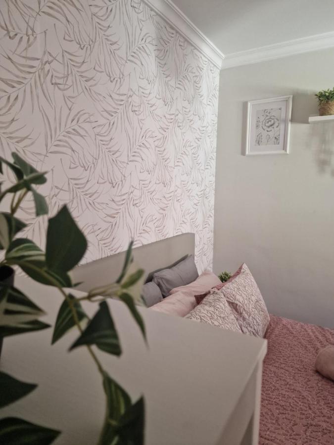Picasso Apartment 말라가 외부 사진